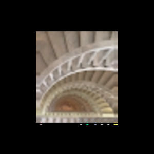 Meet your Posher, Shayla